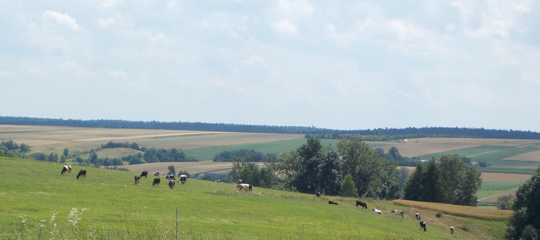 Jura Krakowsko-Częstochowska